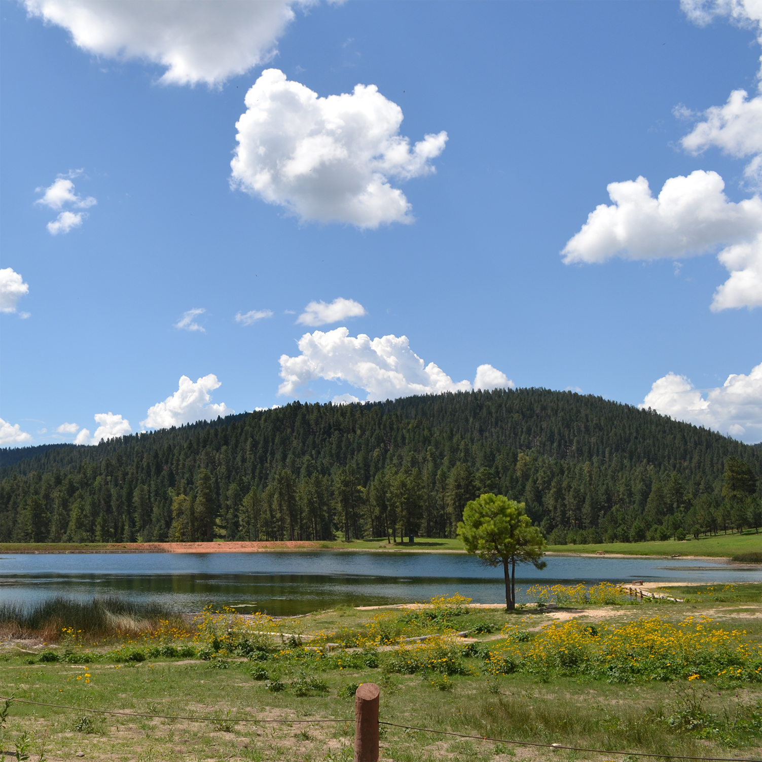Silver Lake Recreation Area Save LWCF New Mexico